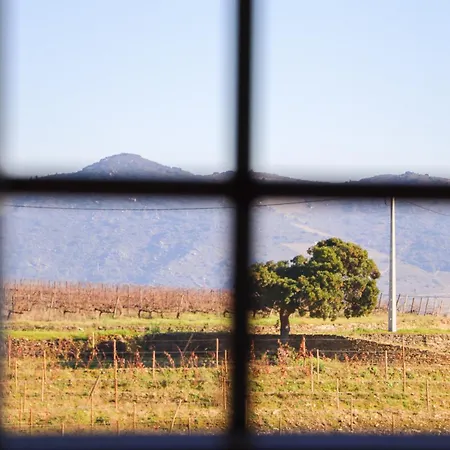 Quinta Da Padrela Vineyard House فيلة *