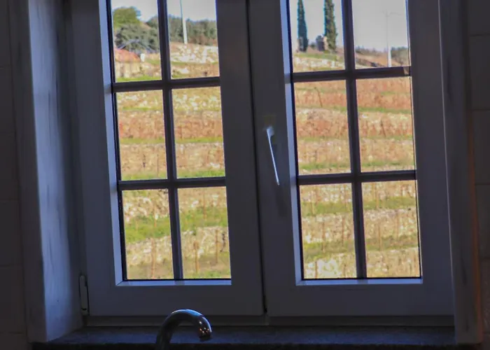 Quinta Da Padrela Vineyard House Vila Tabuaço