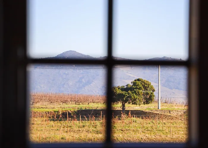 Quinta Da Padrela Vineyard House Vila *